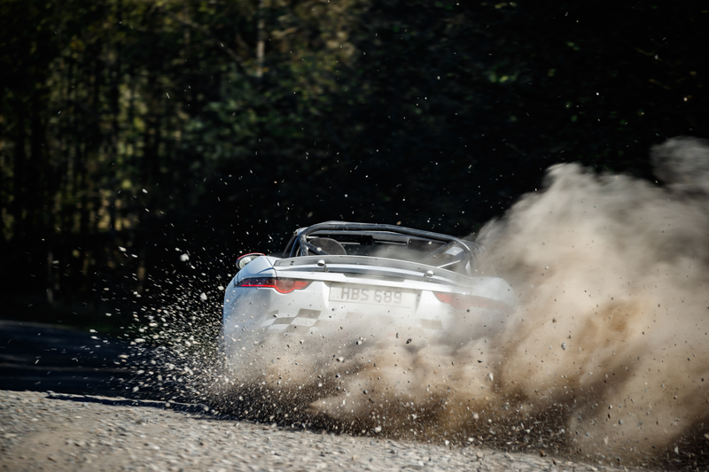 Illustration for article titled Jaguar Built an F-Type Rally Car